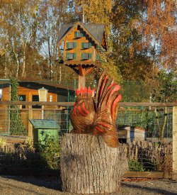 Holzhahn mit Taubenhaus im Hintergrund