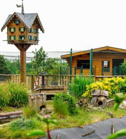 Die Insel im, und das Taubenhaus am Teich